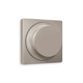 Лицевая панель для светорегулятора универсального Ambrella Volt Alfa AP3655