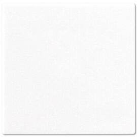 Клавиша одинарная перекидная БЕЛАЯ Jung A500