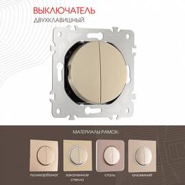 Выключатель двухклавишный Arte Milano 202.30-2.shampan