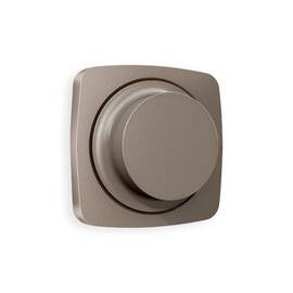 Лицевая панель для светорегулятора универсального Ambrella Volt Omega OP6355