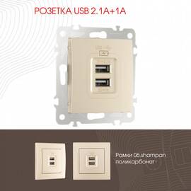 Розетка USB 2.1А+1А Arte Milano 206.46-1.shampan
