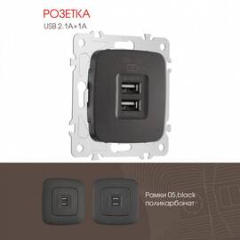Розетка USB 2.1А+1А Arte Milano 205.46-1.black