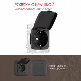 Розетка с заземлением, шторками и защитной крышкой Arte Milano 205.41-1.black
