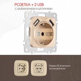 Розетка с заземлением, шторками + 2 USB Arte Milano 205.47-1.shampan