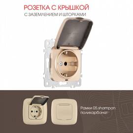 Розетка с заземлением, шторками и защитной крышкой Arte Milano 205.41-1.shampan