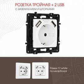 Розетка с заземлением, шторками + 2 USB Arte Milano 217.47-1.white