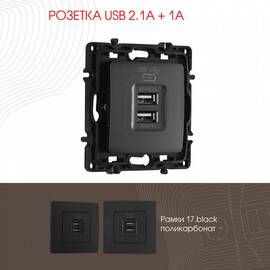 Розетка USB 2.1А+1А Arte Milano 217.46-1.black