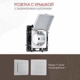 Розетка с заземлением, шторками и защитной крышкой Arte Milano 217.41-1.silver