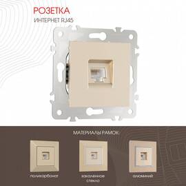 Розетка RJ45 Arte Milano 203.45-1.shampan