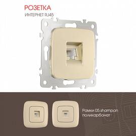 Розетка RJ45 Arte Milano 205.45-1.shampan
