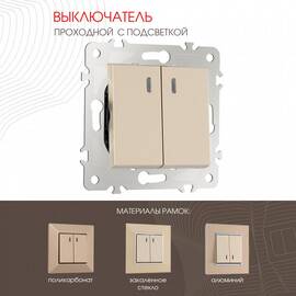 Выключатель двухклавишный проходной Arte Milano 203.33-2.shampan