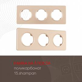 Рамка трехместная Arte Milano 502.15-3.shampan