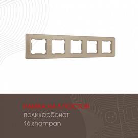 Рамка пятиместная Arte Milano 502.16-5.shampan