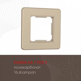 Рамка одноместная Arte Milano 502.16-1.shampan