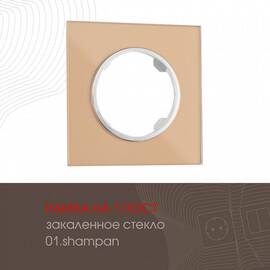 Рамка одноместная Arte Milano 502.01-1.shampan