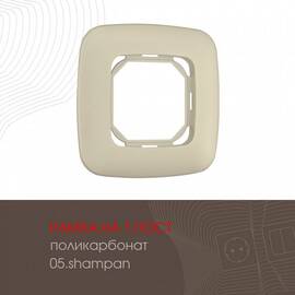 Рамка одноместная Arte Milano 505.05-1.shampan