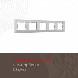 Рамка пятиместная Arte Milano 503.03-5.silver