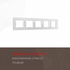 Рамка пятиместная Arte Milano 503.14-5.silver