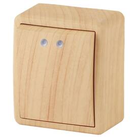 Выключатель с подсветкой Эра 11-1202-11 Б0020659