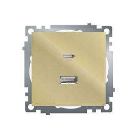 Розетка 2-местная USB + type C Stekker Катрин GLS10-7116-08 50053