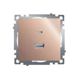 Розетка 2-местная USB + type C Stekker Катрин GLS10-7116-02 50056