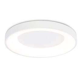 Потолочный светильник Ambrella Light Orbital Design FZ1401