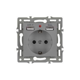 Механизм розетки с USB зарядкой Arlight SCT-MUAA-PL-GR (250V, 16A) 043735