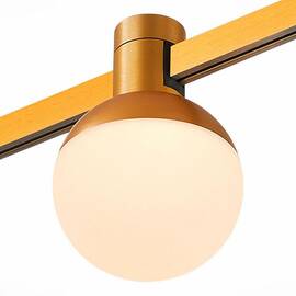 Трековый магнитный светильник ST Luce Farm ST815.246.05