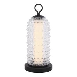 Настольная лампа ST Luce Saguaro SL6144.404.01