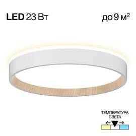 Потолочный светильник Citilux Etalon CL750240