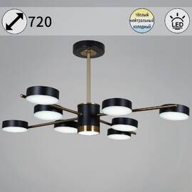 Люстра на штанге Reluce 06369-0.3-08 COP+BK