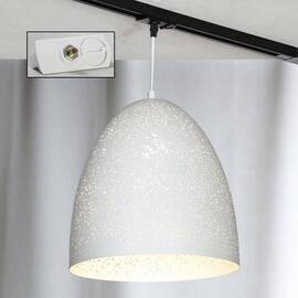 Трековый светильник однофазный Lussole LOFT Track Lights LSP-9891-TAW
