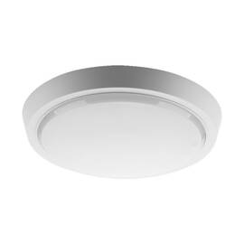 Настенно-потолочный светильник Wolta DBO01-25-6.5K