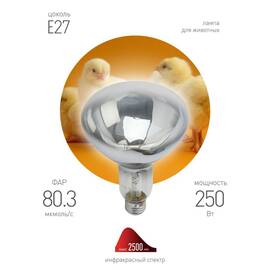 Инфракрасная лампа для обогрева животных и освещения Эра ИКЗ 220-250 R127 E27 Б0055440