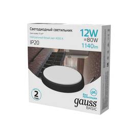 Настенно-потолочный светильник Gauss Basic 193411312B
