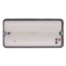 Светильник светодиодный влагозащищенный с БАП Uniel ULW-K25B 6W/4000K/EMG IP65 BLACK UL-00013353