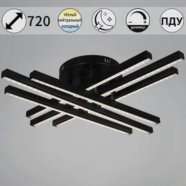 Потолочная люстра Reluce 67090-0.3-06 BK