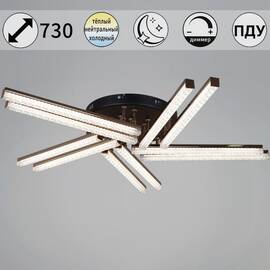 Потолочная люстра Reluce 17090-0.3-10 BK+FG