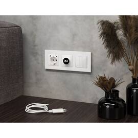 Комплект механизма электрической розетки 2USB С+C 20W с/з на винтовых зажимах 16A-250V Alfa Белый гл