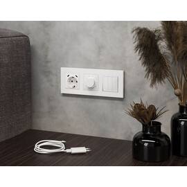 Комплект механизма электрической розетки 2USB С+C 20W с/з на винтовых зажимах 16A-250V Alfa Белый ма