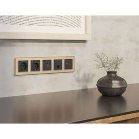 Комплект мех-ма компьютерной розетки RJ-45 экранированной с автоматической защитной шторкой Alfa Гра