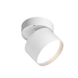 Спот Wolta Basic WSL-GX53/02W