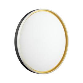 Настенно-потолочный светильник Sonex Pale Savi 7619/ELN