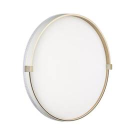 Настенно-потолочный светильник Sonex Pale Olidi White 7646/DLN