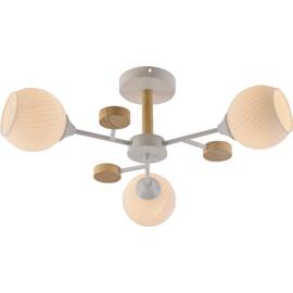 Люстра на штанге Rivoli Chiara 9180-303