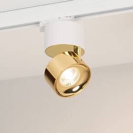 Трековый трехфазный светильник Arlight SP-PLURIO-TRACK-4TR-R77-9W Day4000 (WH-BRS, 36 deg, 230V) (IP