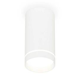 Комплект накладного светильника Ambrella light Techno Spot XS (C8161, N8461) XS8161006