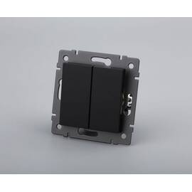 Механизм выключателя двухклавишный самовозвратный Arlight SWT-MKR2-PL-BK-V (250V, 10A) 049884