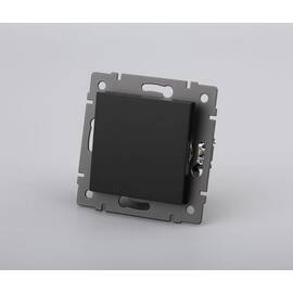 Механизм выключателя одноклавишный самовозвратный Arlight SWT-MKR1-PL-BK-V (250V, 10A) 049880