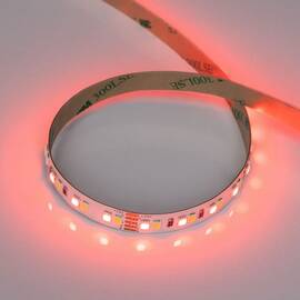 Светодиодная лента Arlight RT-A168-10mm 24V RGBW-White (20 W/m, IP20, 5m) (высок.эфф.150 лм/Вт) 0568